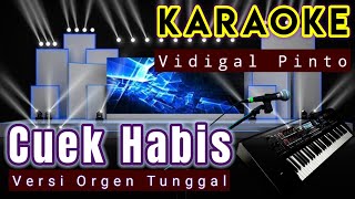 karaoke Lagu tetun Vidigal Pinto  Cuek Habis [upl. by Aggy778]