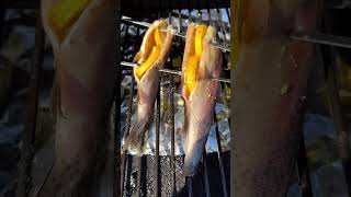 Smoked Rainbow Trout recipe  Delicious and Easy thedudenetwork  Z Grills [upl. by Blount]