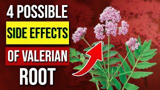 Valerian Root 5 Possible Side Effects [upl. by Nnywg]