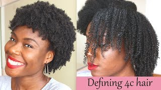 Defined curls on 4c natural hair using the LOC method no gel [upl. by Wardle]