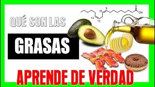 Clasificación de las GRASAS 🥑 y Cómo influyen en nuestro CUERPO [upl. by Ydnyl]