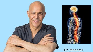 How to Heal Nerve Pain Pinched Nerve Neuropathy  Dr Alan Mandell DC [upl. by Ubana]