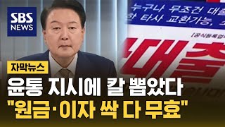 quot원금 안 갚아도 된다quot…변호사 비용까지 무료 지원 자막뉴스  SBS [upl. by Amii]