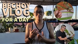 Being BECHOY VLOG For A Day  Philodendron Propagation Ni Idol [upl. by Cynthy936]