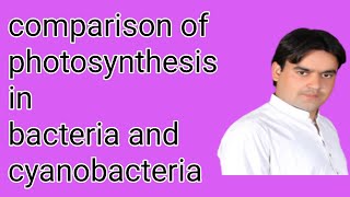 Photosynthesis in Bacteria  Photosynthesis in cyanobacteria  class 11  Dr Mushtaq Lectures [upl. by Acinat329]