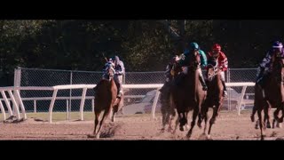 Secretariat Saratoga Race 720p English [upl. by Etnohs]