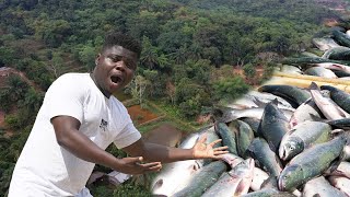 How A Young Man Moved From South Africa To Established Biggest Fish Farm In Congo [upl. by Narret68]