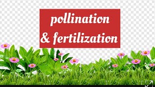 Difference between pollination and fertilizationclass 10  Biology [upl. by Tatianna]