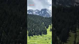 Naltar valley beautiful view naltarvalley tour [upl. by Oinotla]