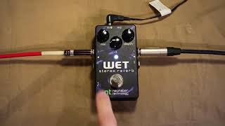 Neunaber WET Stereo Reverb w AC Guitar [upl. by Cuyler293]