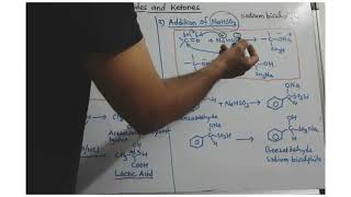 Reactions of aldehydes and Ketones with hydrogen cyanide and sodium bisulphite [upl. by Duwalt]