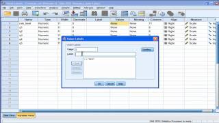 Value Labels  SPSS [upl. by Phillipe508]