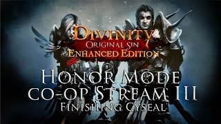 Fextralife Playing Divinty Original Sin EE Honor Mode Co op Part 3 [upl. by Ailices941]