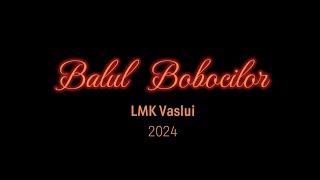 Balul Bobocilor LMK 2024 [upl. by Artenra73]