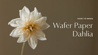 Learn my secrets to making Dahlia Wafer Paper Flowers [upl. by Uphemia]