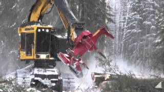 Komatsu XT450L Feller Buncher  SMS  Customer Testimonial  XT450L Feller Buncher Review [upl. by Rattan]