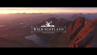 Scotland Aerial Filming  Wild Scotland [upl. by Werdnaed]