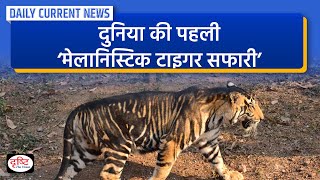 Worlds First Melanistic Tiger Safari  DCN  Drishti IAS [upl. by Teerprah]