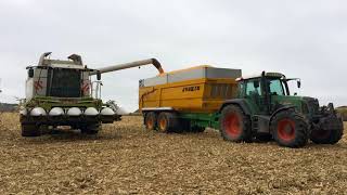 Récolte du maïs grain 2017 I Claas Lexion 540 [upl. by Notsgnal]