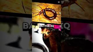 Giant centipede vs British corba [upl. by Makell723]