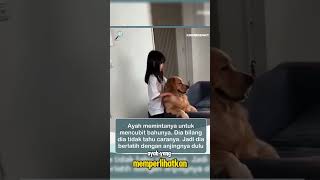 Anteng banget dipijitinshorts pets doglover [upl. by Millford]