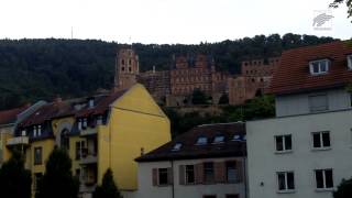 Das Partyschiff Heidelberg [upl. by Ailatan869]