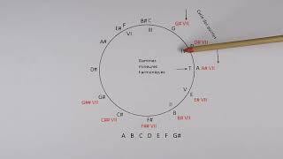 CERCLE DES QUINTES 36  Notes des gammes mineures [upl. by Shere]