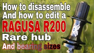 RAGUSA R200 How to disassemble and assemble a RAGUSA R200 rarehub and bearing sizes raidenworks [upl. by Nahtad]