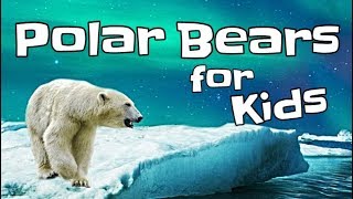 Polar Bears for Kids [upl. by Nico489]