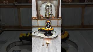 02112024 Happy New year 🎊 Mahadev shandilya arti darshan Jay Mahadev youtube shots [upl. by Eiramait]