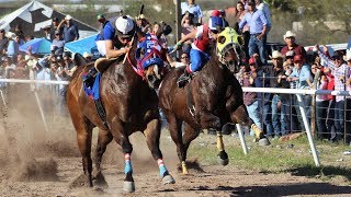 Carreras de Caballos en Cumpas 16 de Marzo 2019 [upl. by Hajed]