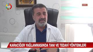 Karaciğer Yağlanması Tanı ve Tedavi Yöntemleri  Uzm Dr Dündar Güngör [upl. by Jojo]