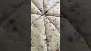 Middle Eastern Sweets Helbeh  Step by Step Guide  Vivis Kitchen [upl. by Huey]