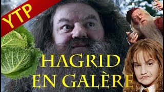 YTPFR HARRY POTTER  HAGRID EN GALÈRE DUMBLEDORE DANGEREUX   Épisode 1 [upl. by Osner]