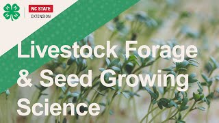 Livestock Forage and Seed Growing Science A Spark Activity [upl. by Negeam]