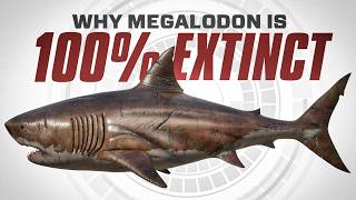 Why Megalodon is 100 EXTINCT [upl. by Oiligriv]