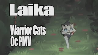 Laika Warrior Cats Oc PMV [upl. by Johnath]