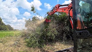 PINPOINT DESTRUCTION Flail Mulcher VS Fixed Forestry Mulcher [upl. by Grekin166]