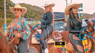 Gran Cabalgata en las Fiestas de Zarzal  Valle 😍 COLOMBIA 2024 [upl. by Gebelein]