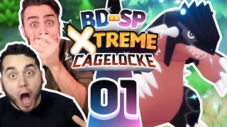 The MOST XTREME RANDOMIZER Pokemon BDSP CageLocke with ShadyPenguinn EP01 [upl. by Lavena160]