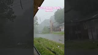 Kaluoy sa balay natumbahan sa kahoy typhoon [upl. by Ariay]