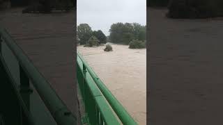 Hochwasser StPölten Süd  Traisenbrücke 150924 Lage 14 Uhr [upl. by Oca404]