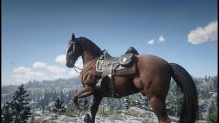 Red Dead Online Hungarian Halfbred Flaxen Chestnut [upl. by Dur537]