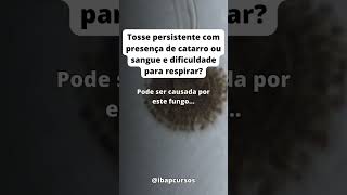 Tosse persistente com presença de catarro e sangue reels shorts microbiologia [upl. by Icyac]