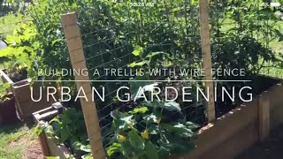 Building a Trellis with Wire fencing Urban Gardening  Magnolia Street Garden [upl. by Lord508]