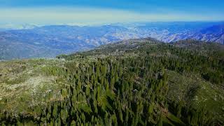 2024 Best Sequoia National Forest Chicago Stump Trail 4k Drone Stock Footage Version 2 [upl. by Cecily]