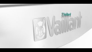 Vaillant Ecotec Boiler Servicing [upl. by Nerahs]