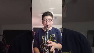 Bluey Theme Song on clarinet [upl. by Hedvige]