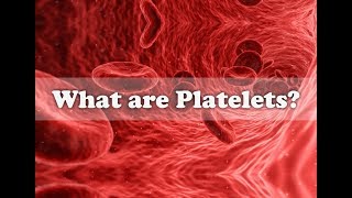 Human Body  What are Platelets and How they work [upl. by Othilia]