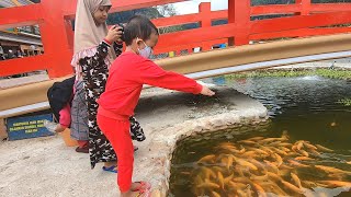 Gavin Beri makan ikan dan Makan Es Krim  Gavin Menangis Karena Jatuh [upl. by Rhee]